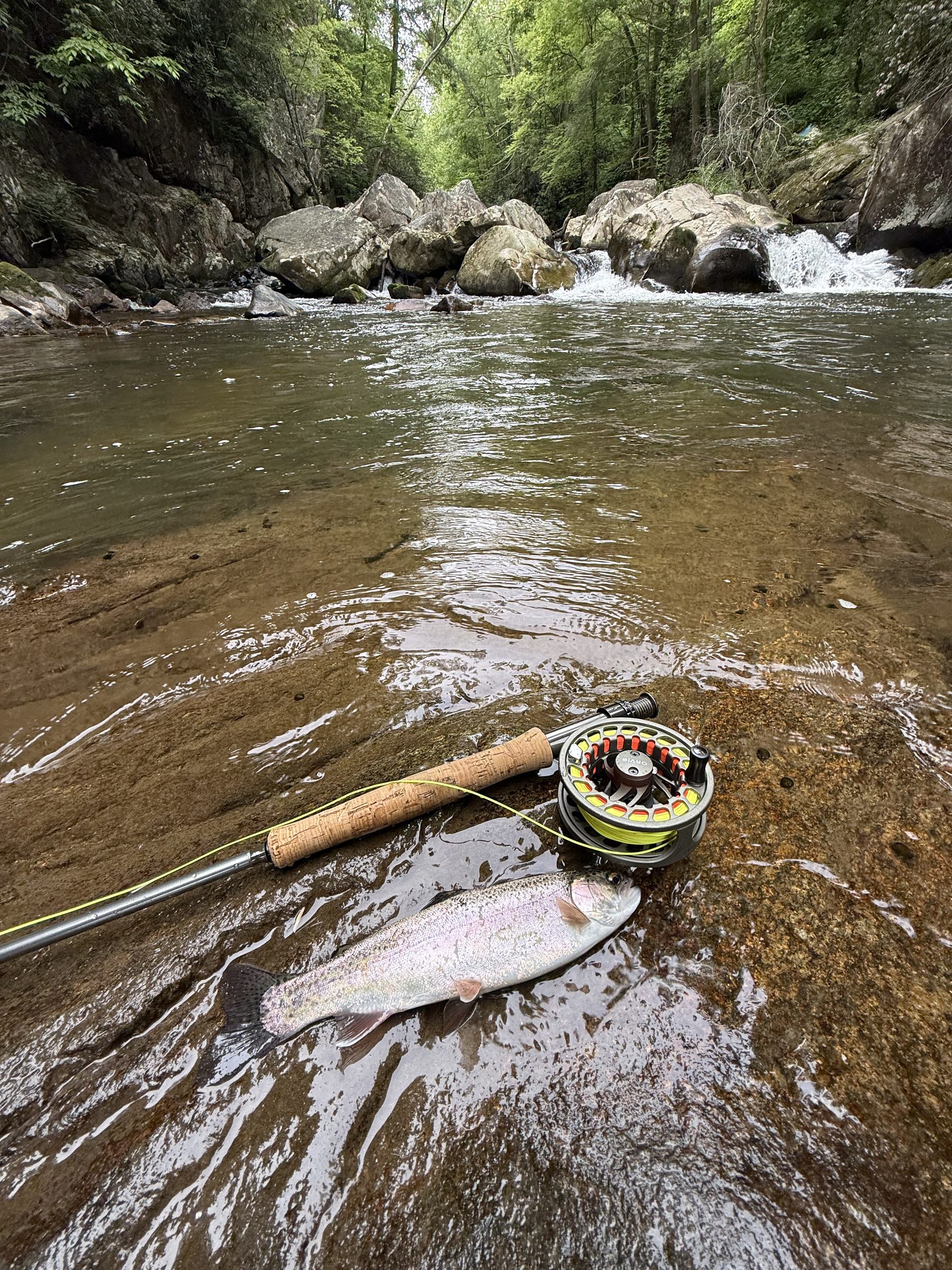 Doe River — fly rod and trout, 5 min from cabin