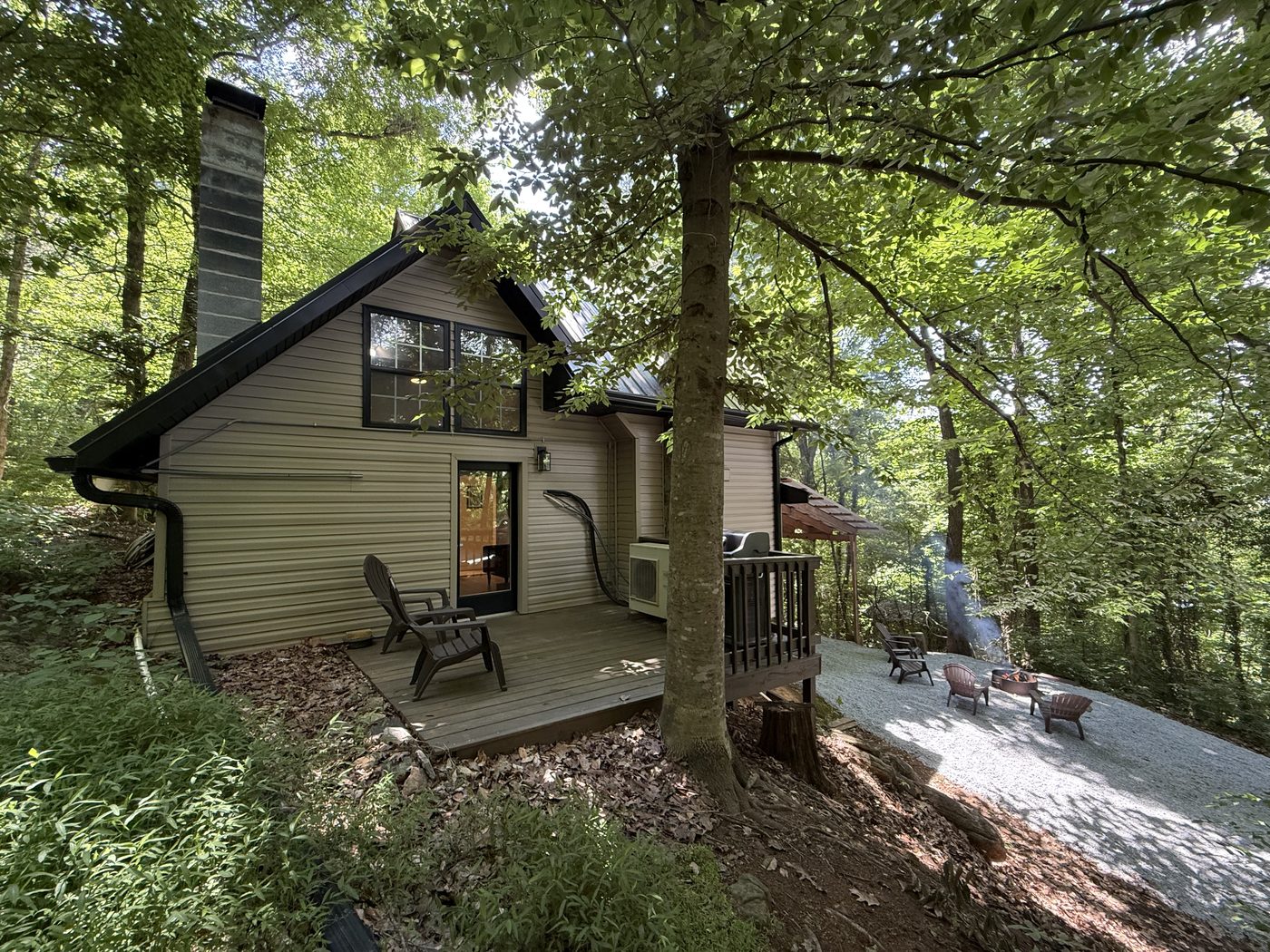 Cabin set in the woods