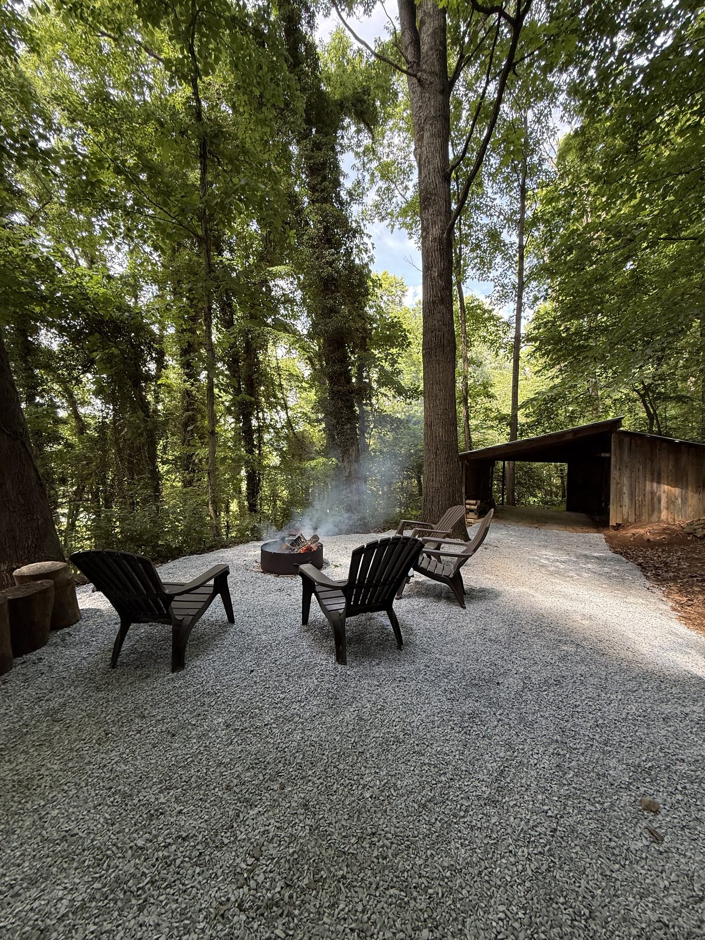 Fire pit area in the woods